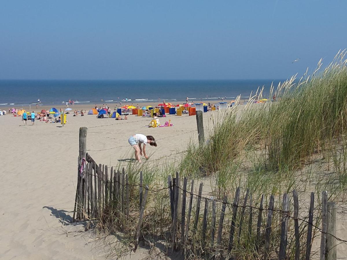Stunning In Near Noordwijk